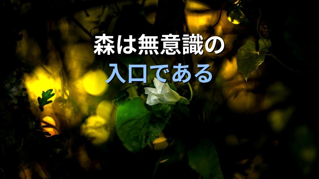 夢に現れる「木・植物・森」の象徴|ユング心理学が読み解く成長・自己・無意識のこころのメッセージ - 解説