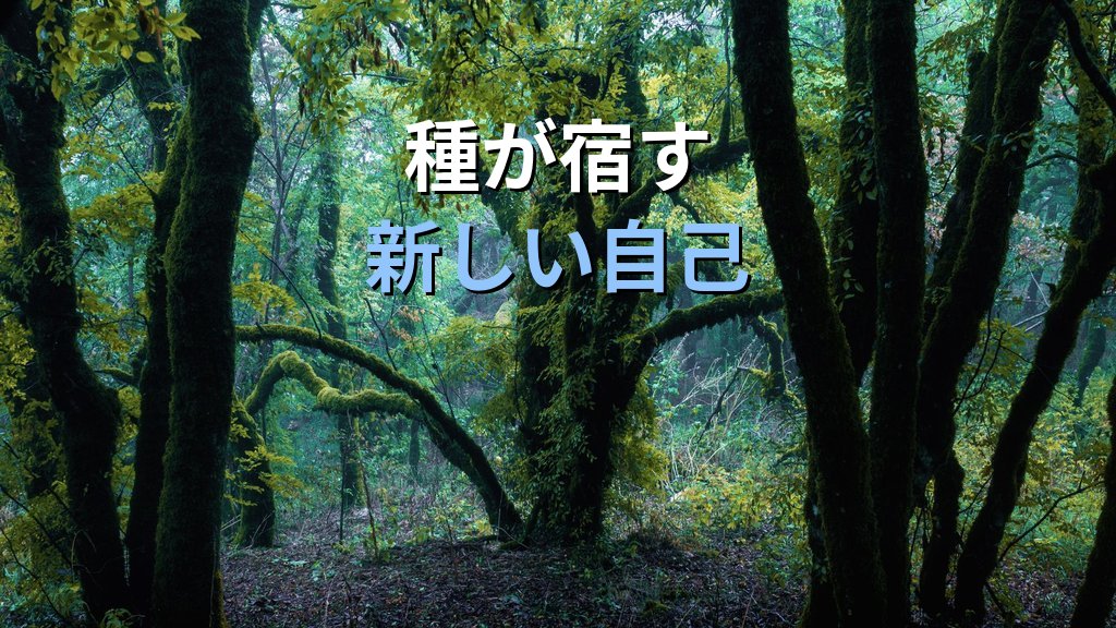 夢に現れる「木・植物・森」の象徴|ユング心理学が読み解く成長・自己・無意識のこころのメッセージ - まとめ